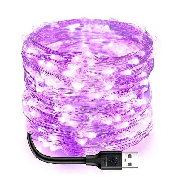 Fairy Lights 33Ft 100 LED String Lights USB Powered Silver Wire Decoration Light For Bedroon Dorm Wall Craft Christmas Party Decoration