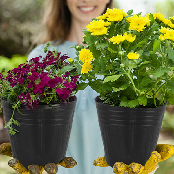 100 Packs Small Plastic Plant Nursery Pots Seed Starting Pot Flower Plant Container for Succulents Seedlings, Cuttings, Transplanting