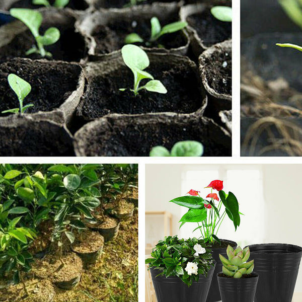 100 Packs Small Plastic Plant Nursery Pots Seed Starting Pot Flower Plant Container for Succulents Seedlings, Cuttings, Transplanting